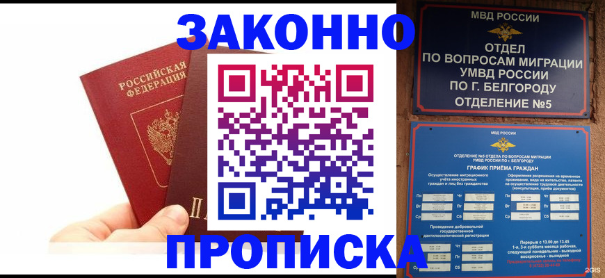 временная регистрация для школы в Шебекино